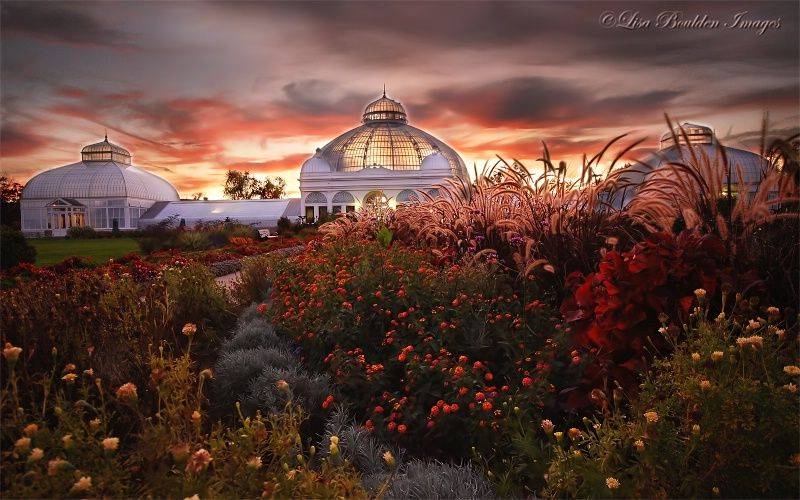 Buffalo And Erie County Botanical Gardens