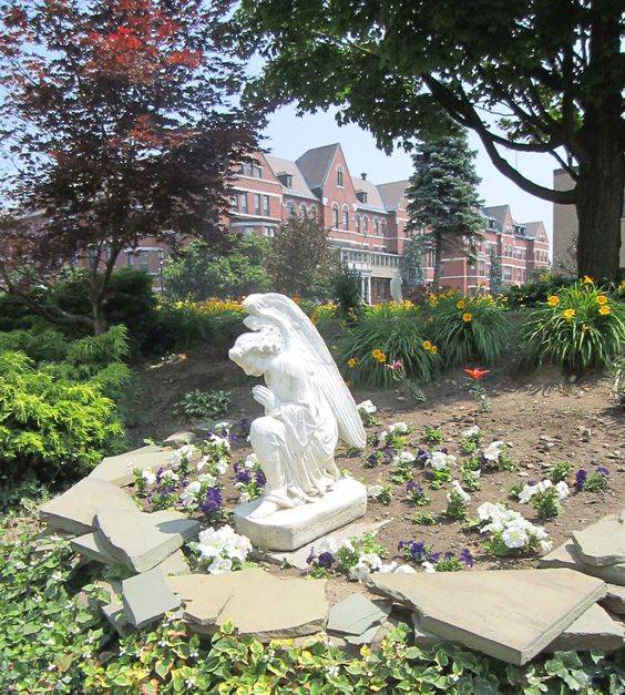 Buffalo And Erie County Botanical Gardens Photos