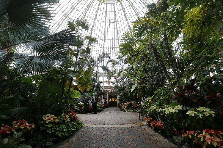 South Park Avenue Buffalo