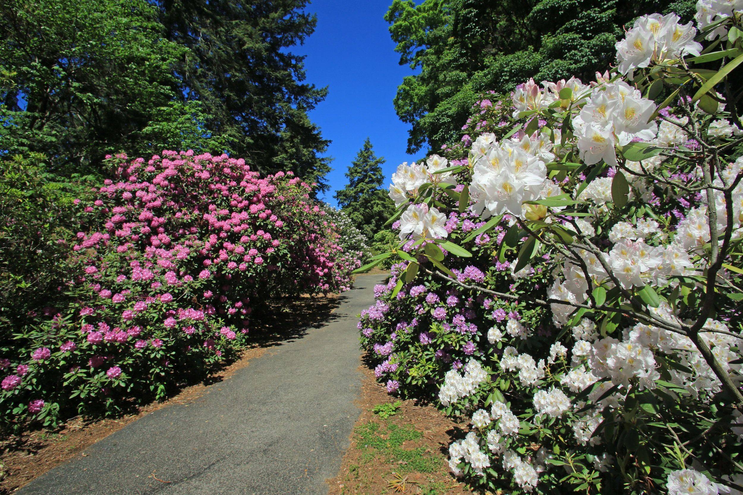 Lilac Festival Landmark Society