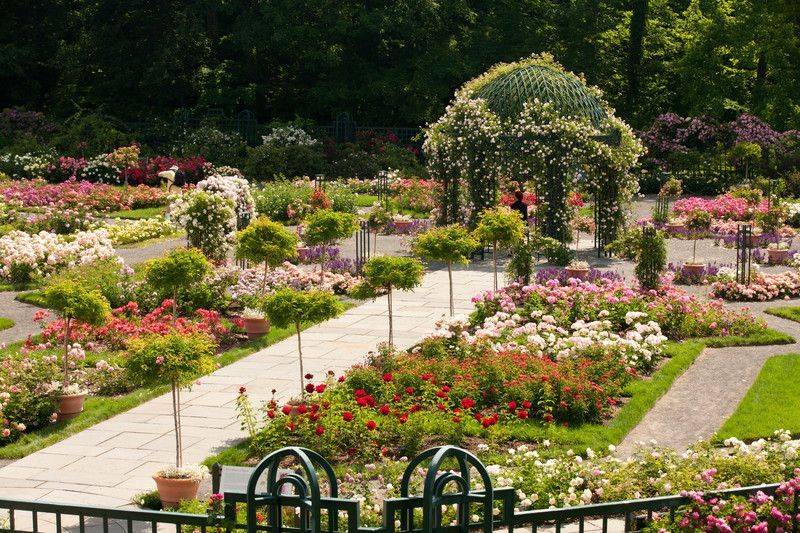 Breathtaking Botanical Gardens