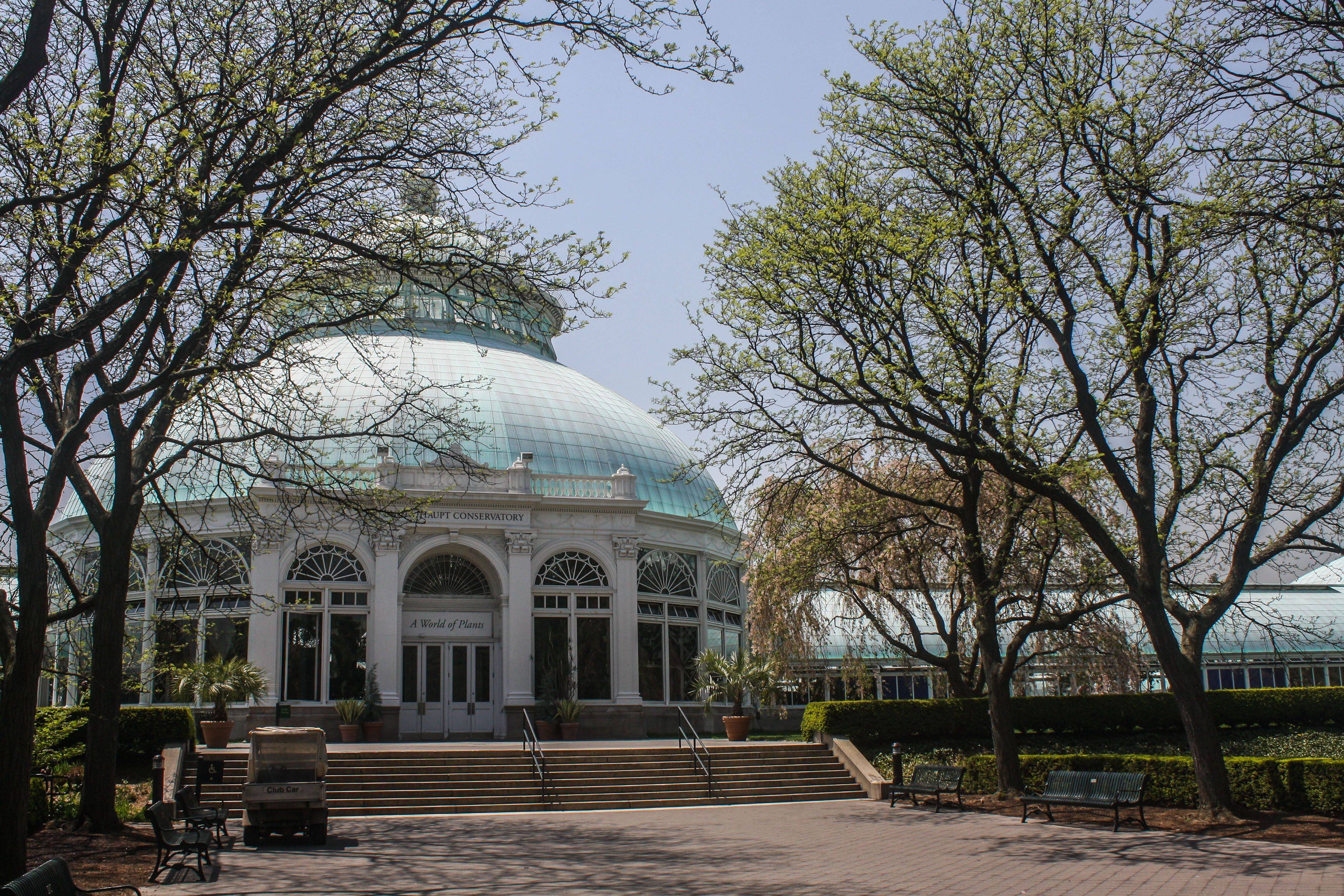 Haupt Conservatory Foto De New York Botanical Garden