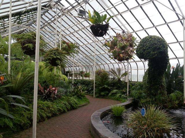 Buffalo And Erie County Botanical Gardens