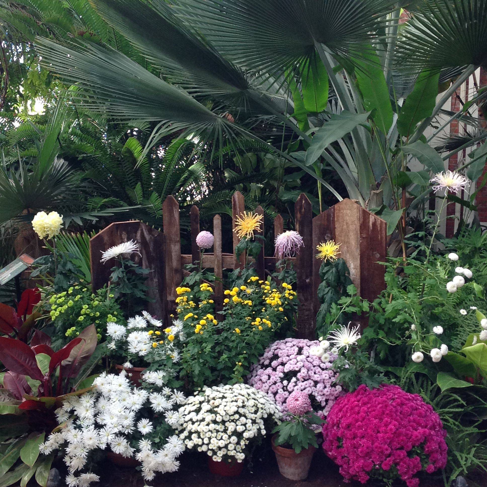 Buffalo And Erie County Botanical Gardens