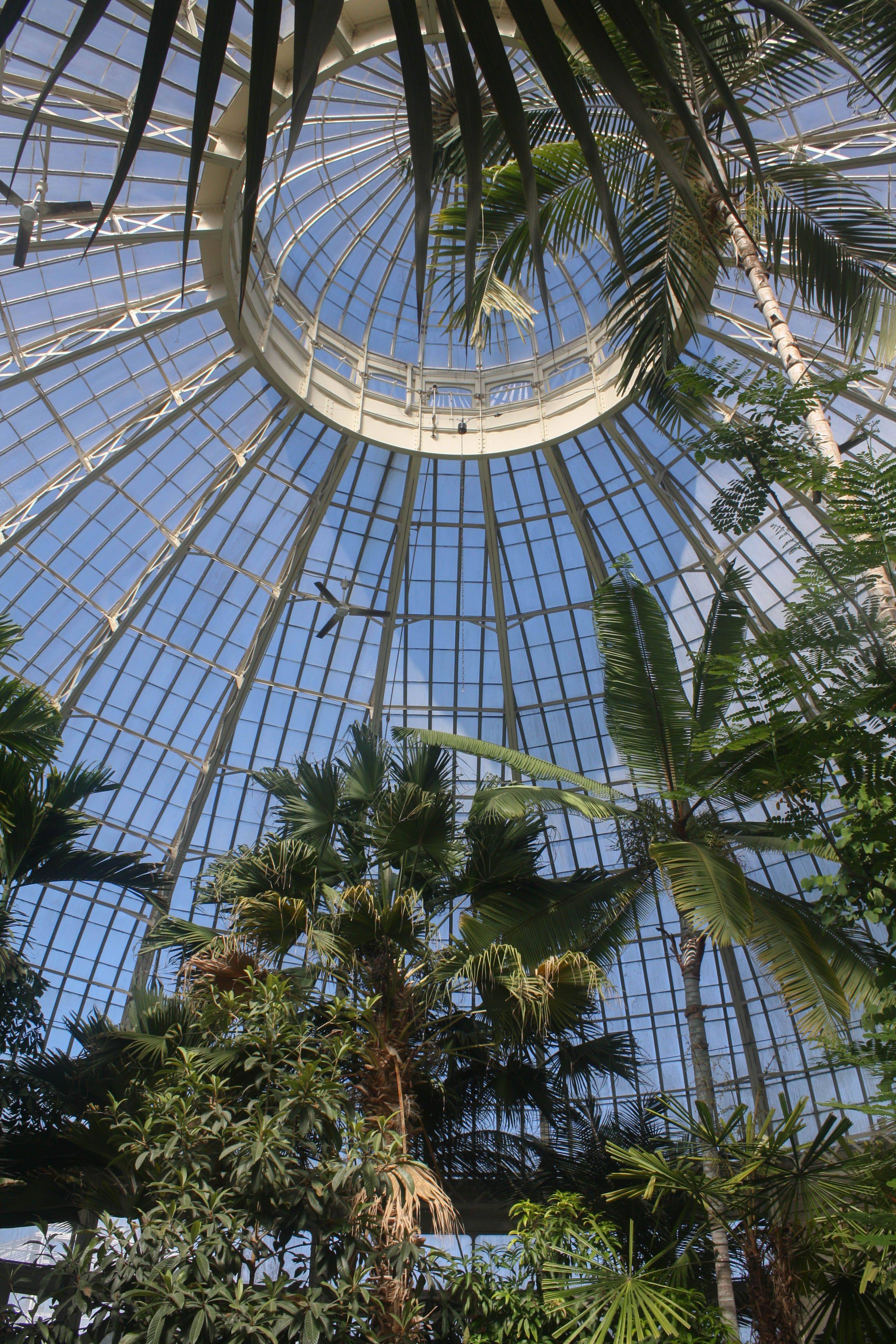 Buffalo And Erie County Botanical Gardens