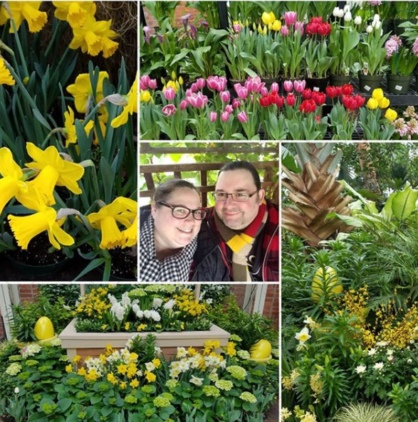 Buffalo Erie County Botanical Gardens Botanical Gardens Garden