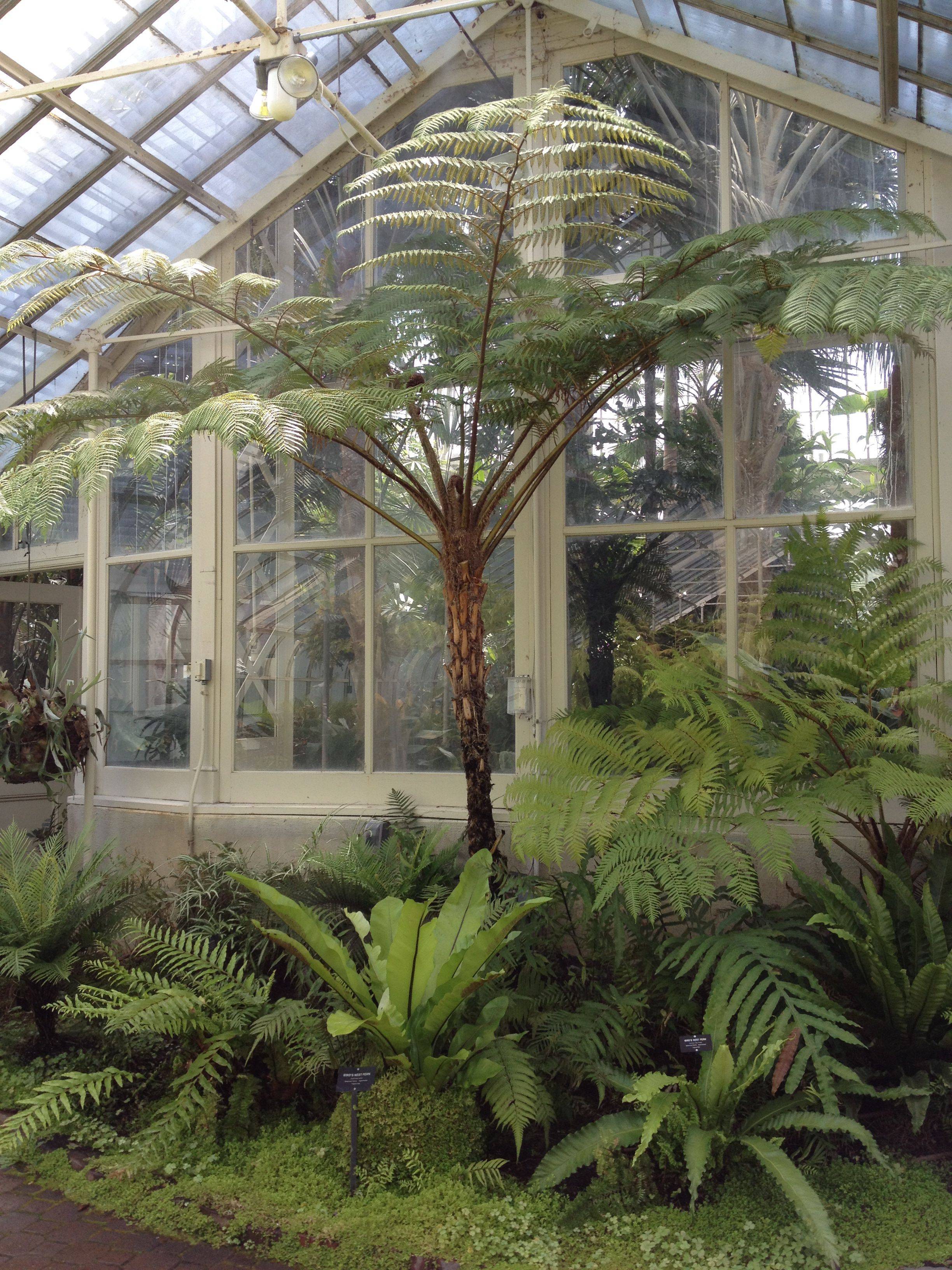 The Buffalo And Erie County Botanical Gardens
