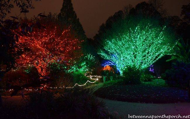 Atlanta Botanical Gardens Christmas Lights Over Million Lights
