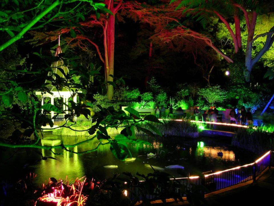 Night Garden Wedding Reception