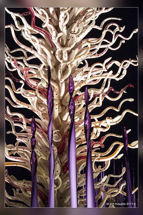 Naples Botanical Garden