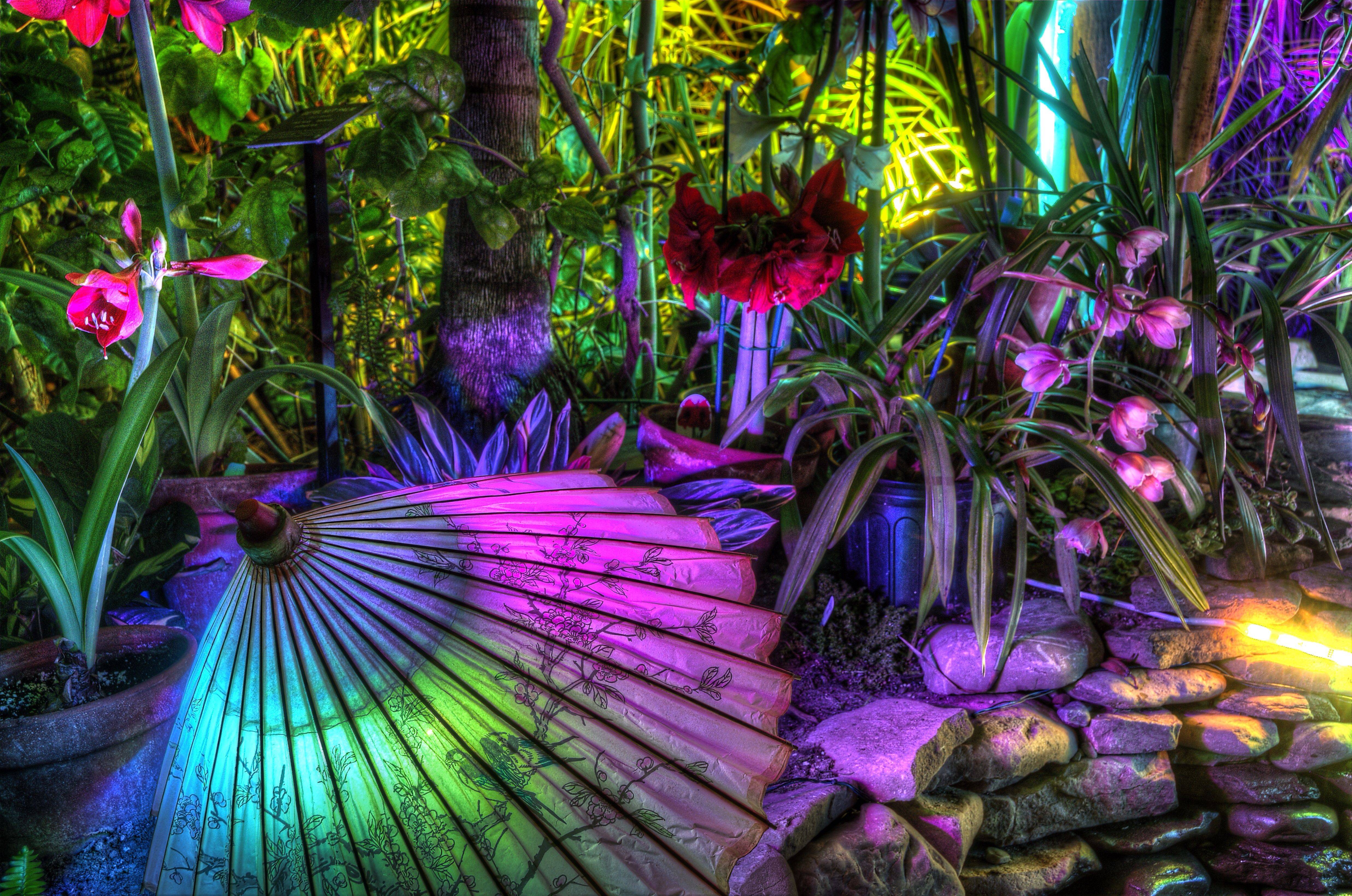 Fairchild Tropical Botanic Garden