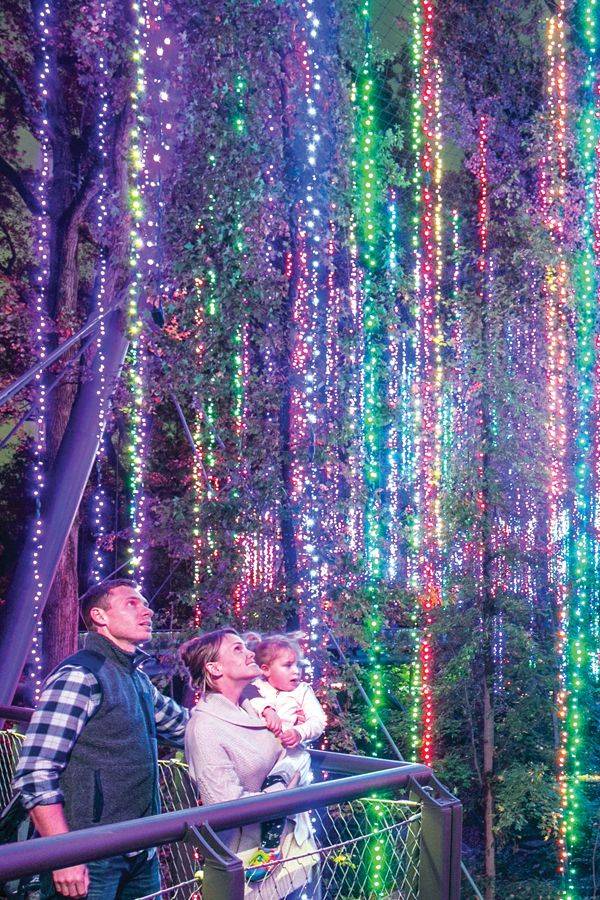 A Magical Wonderland