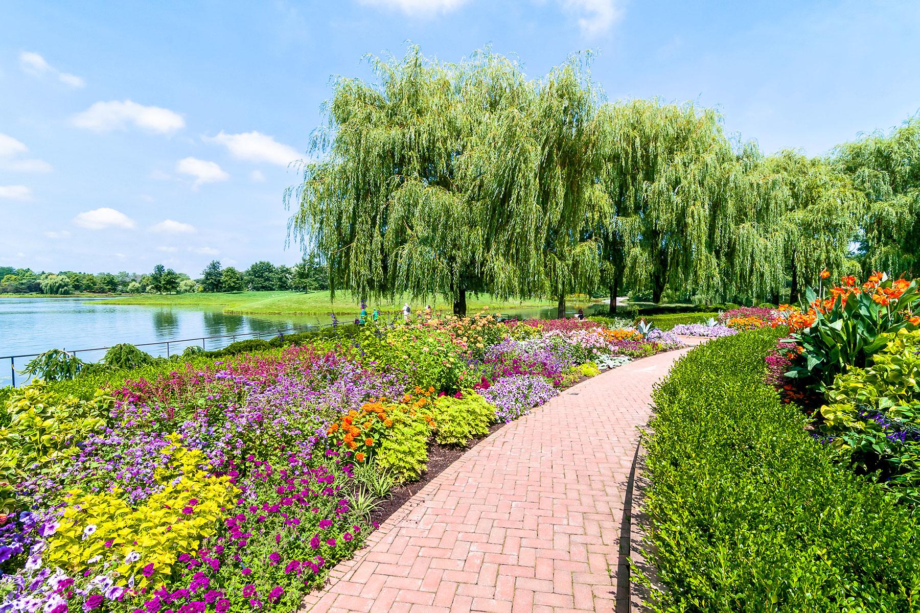 Botanical Mural Google Search Wall Painting Decor