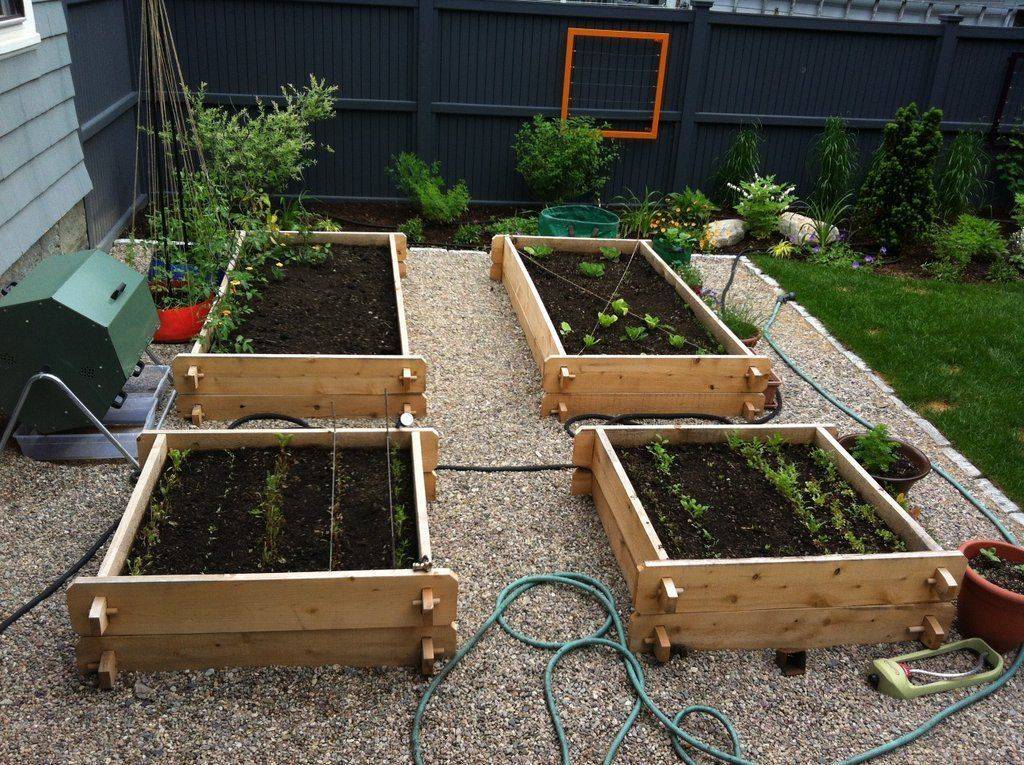 22 Luxury Vegetable Garden Ideas Worth to Check SharonSable