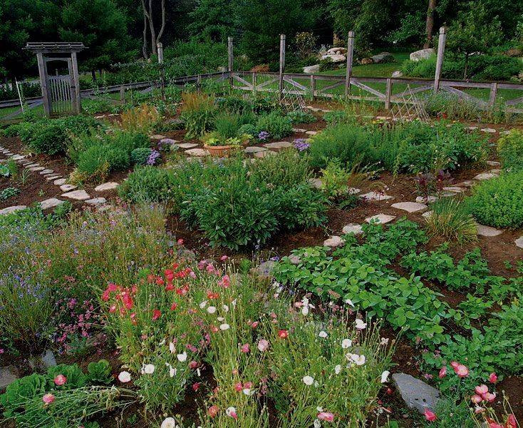 22 Luxury Vegetable Garden Ideas Worth to Check SharonSable