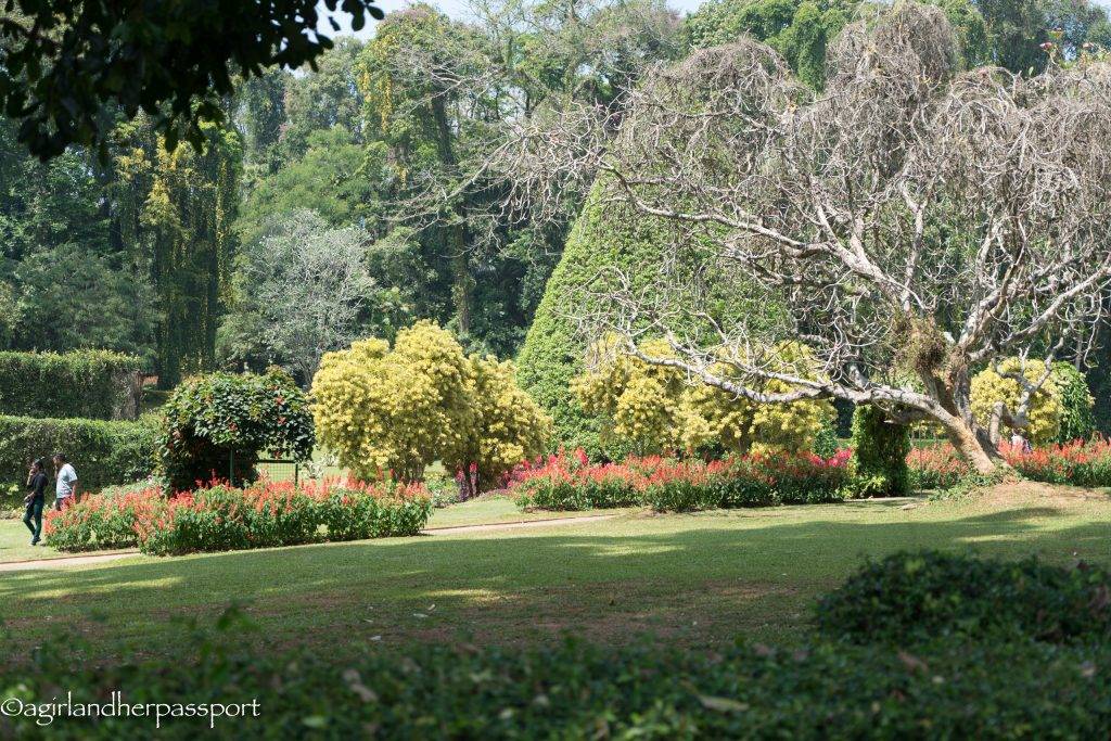 Peradeniya Botanical Gardens
