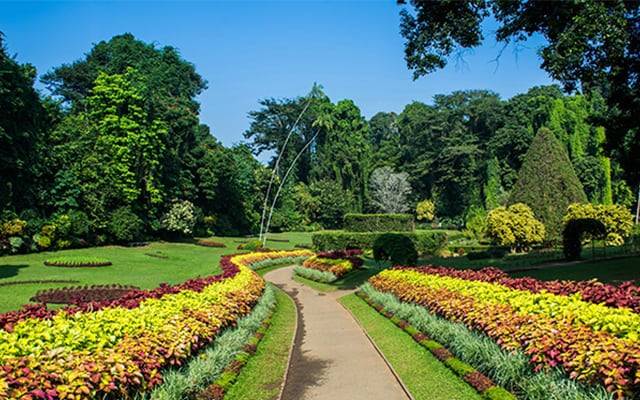 Kandy Hotels