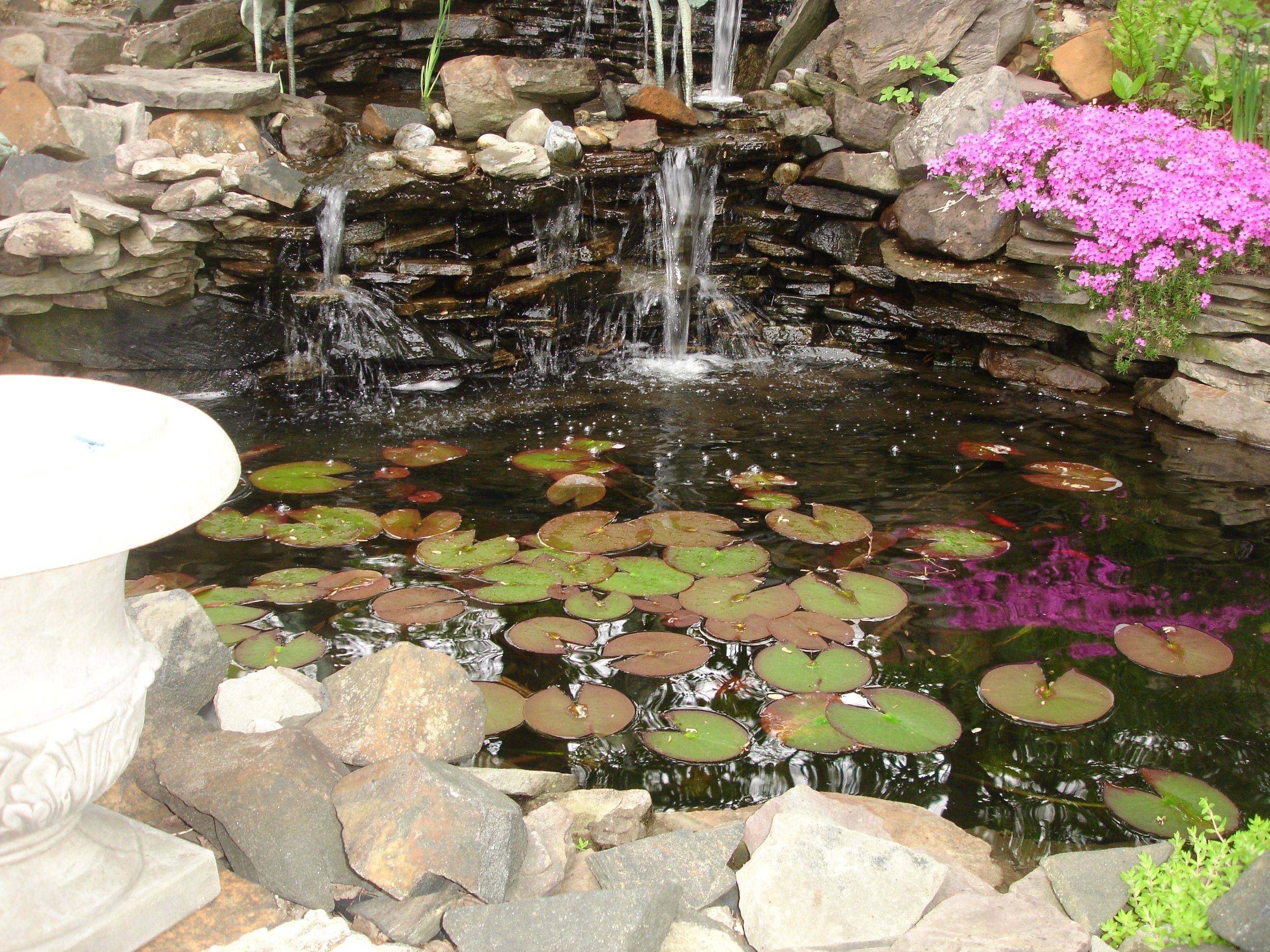 Pond Waterfall
