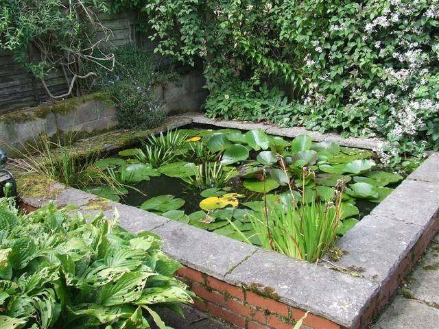 A Gorgeous Rectangular