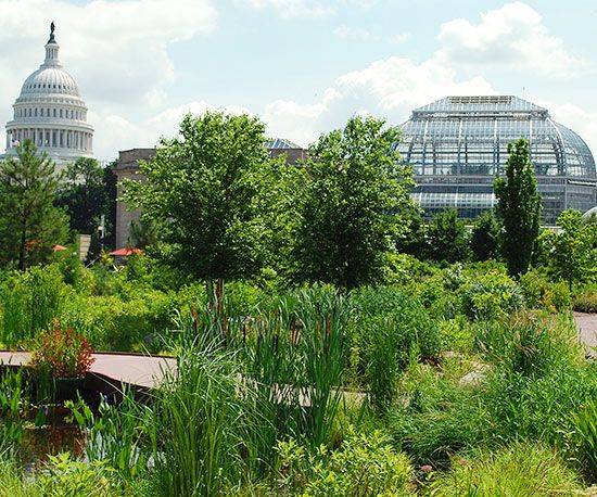 Best Botanical Gardens