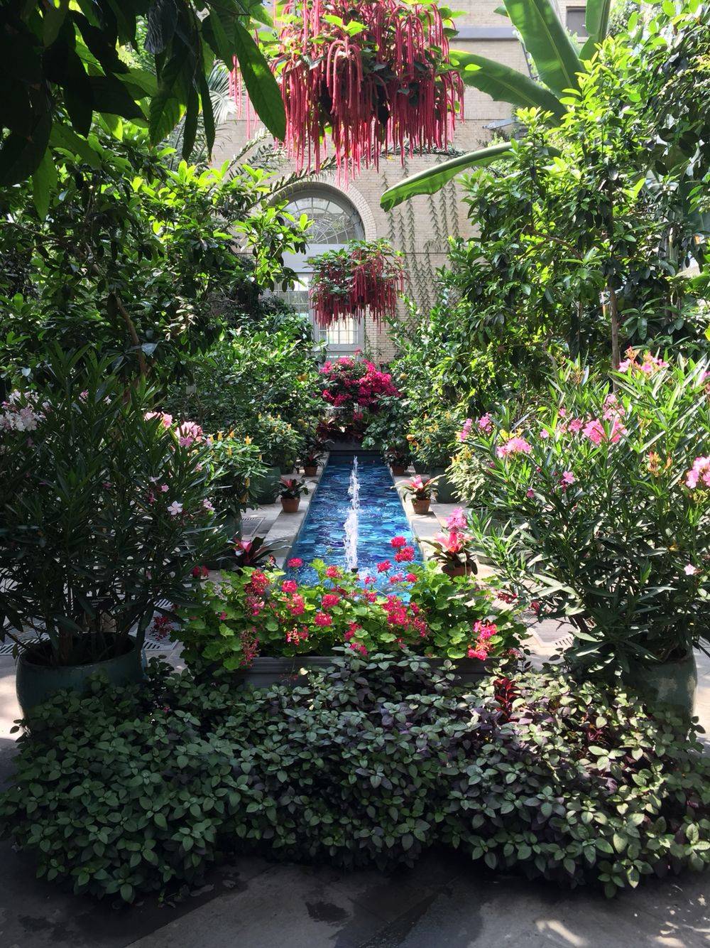 Garden Ideas