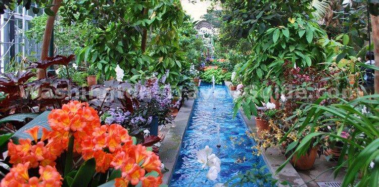 The United States Botanic Garden