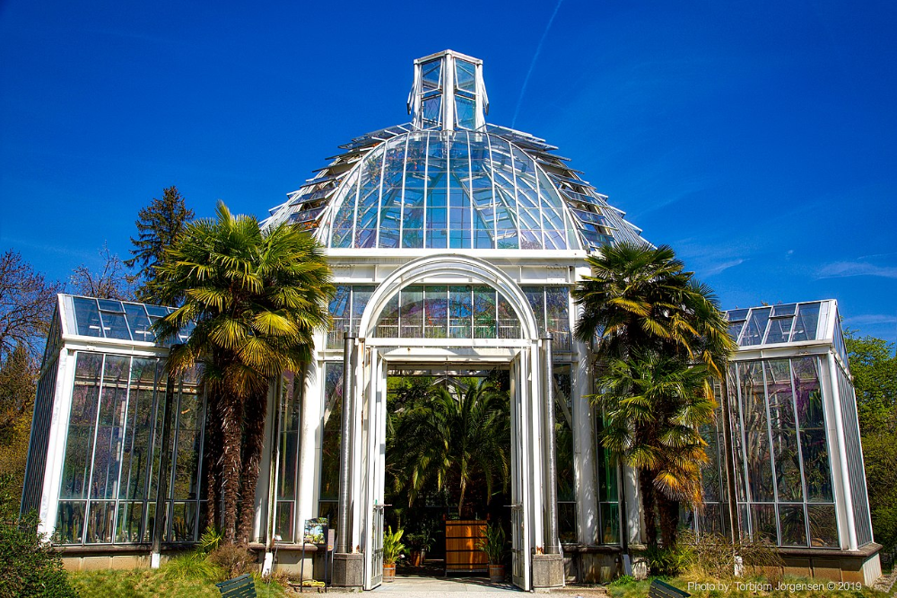 Botanical Gardens
