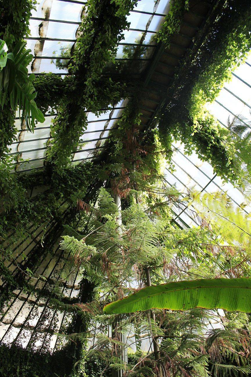 Botanical Garden Geneva Amazing Places