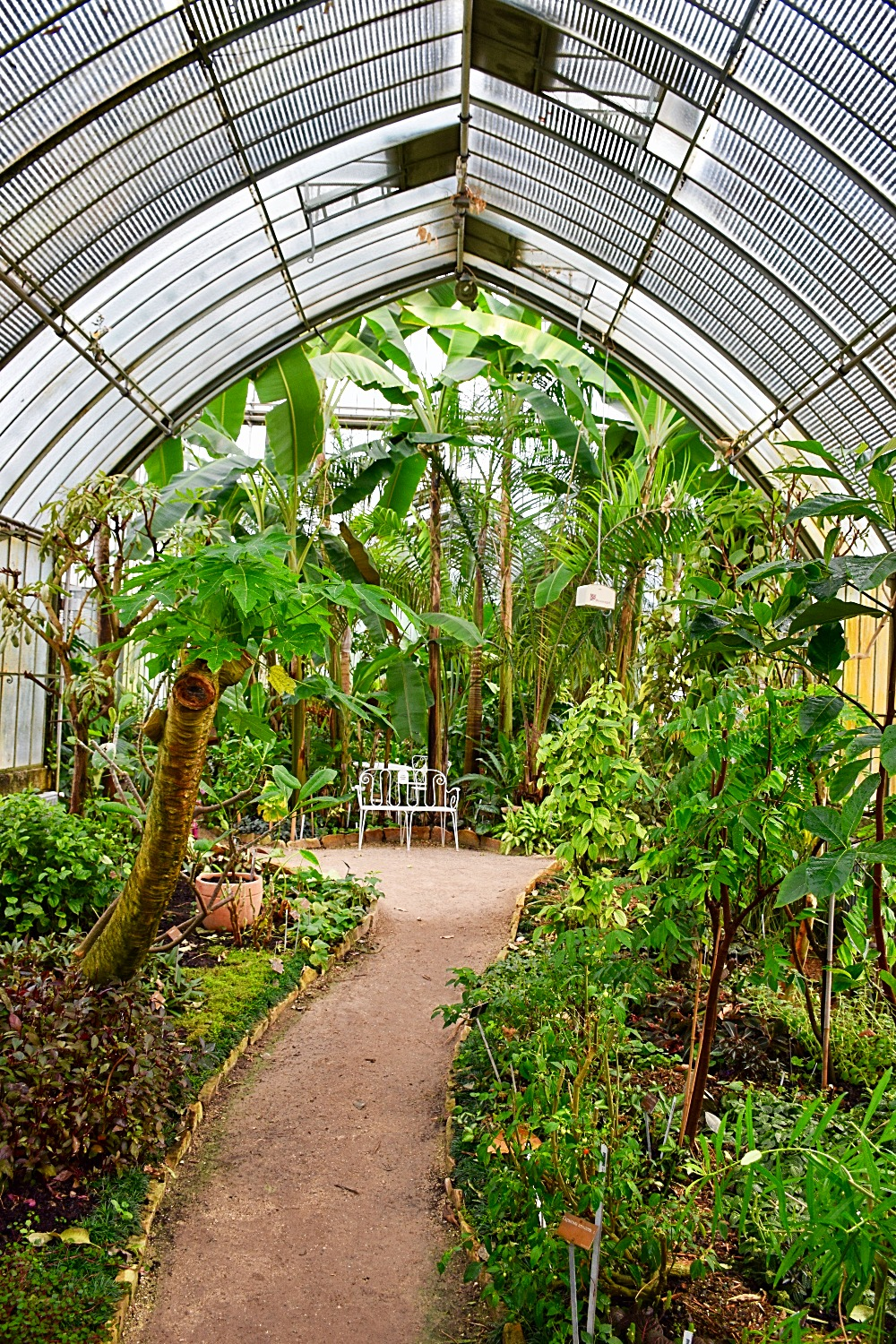 In Botanical Gardens