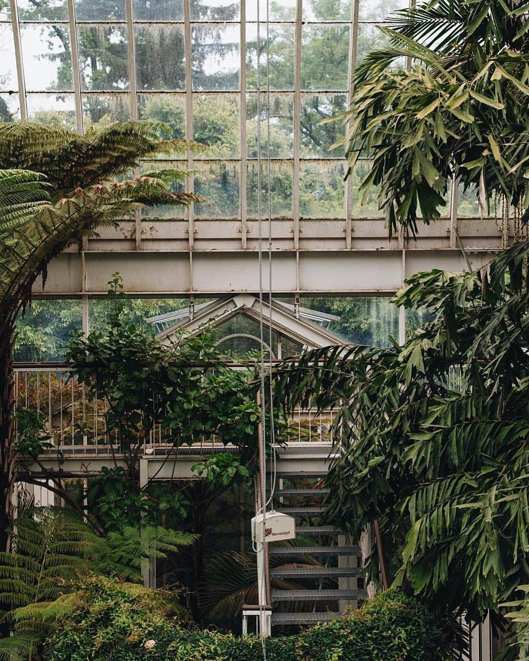 Chicago Botanical Gardens Garden