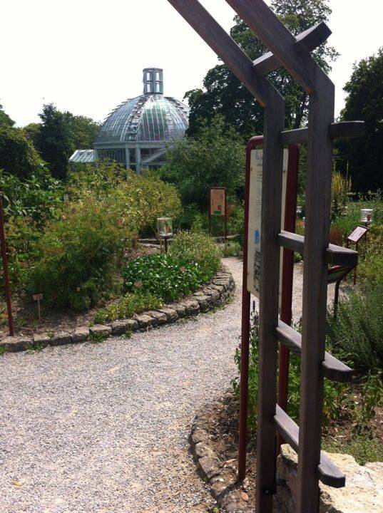 Greenhouse