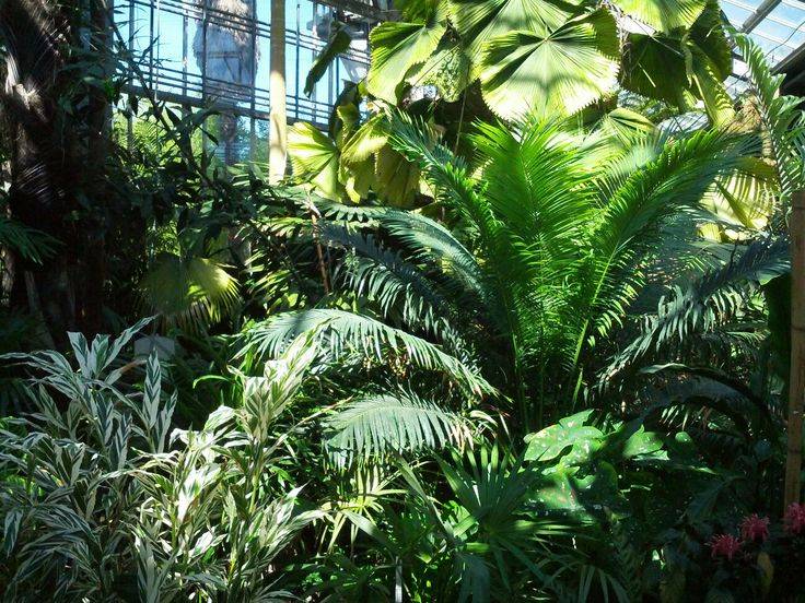 Serre Tempre Conservatoire Et Jardin