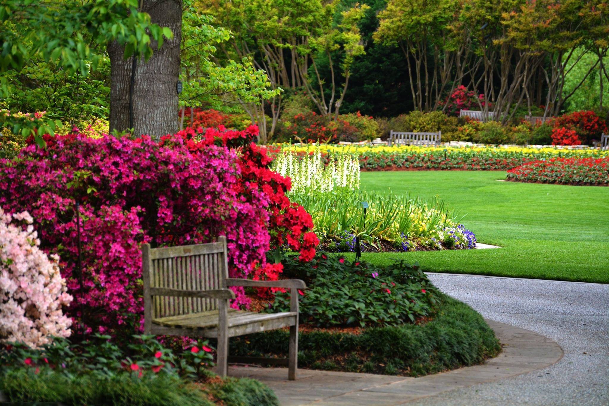 Dallas Arboretum Dallas Arboretum