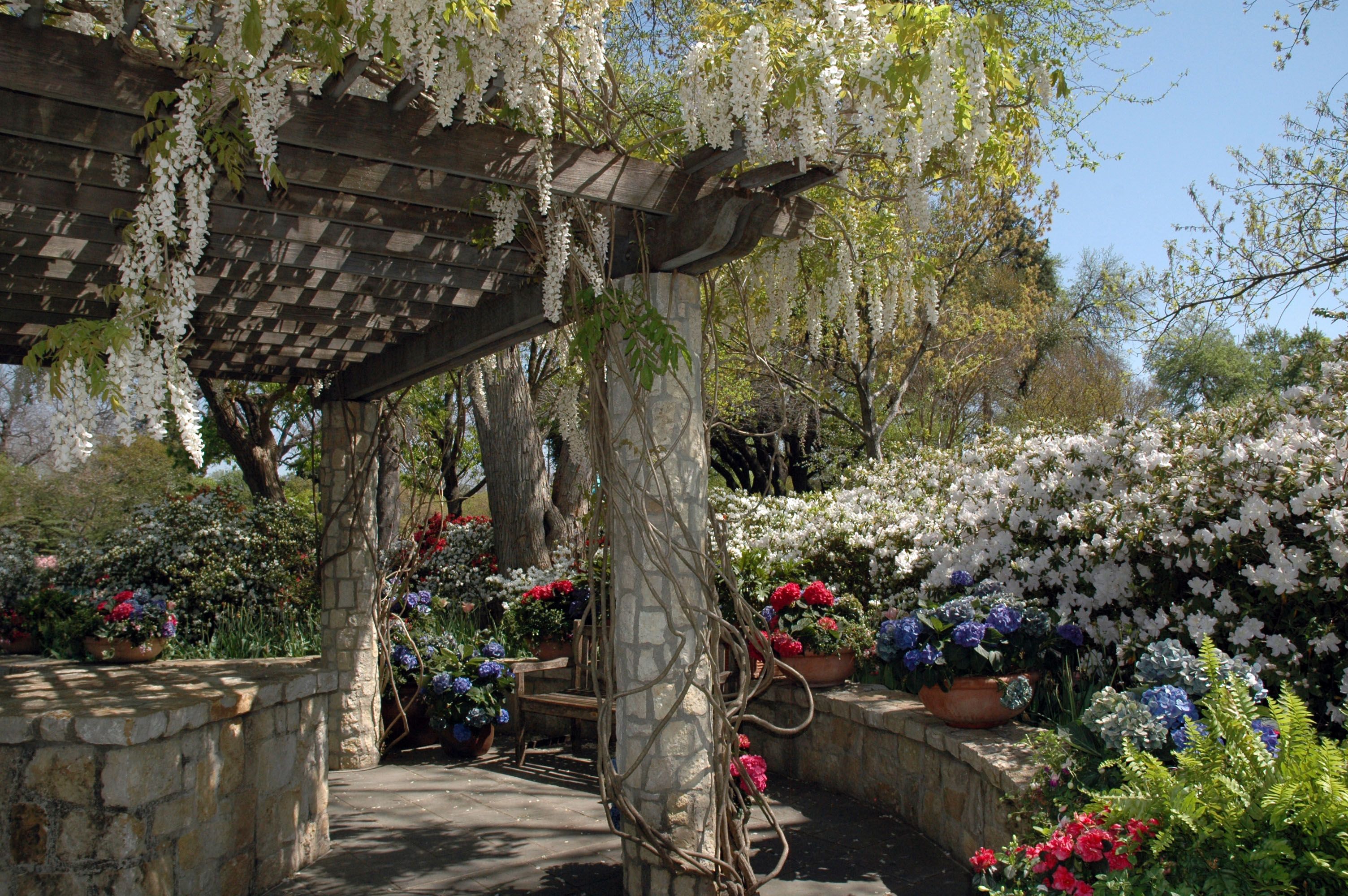 Tx Garden Dallas Arboretum