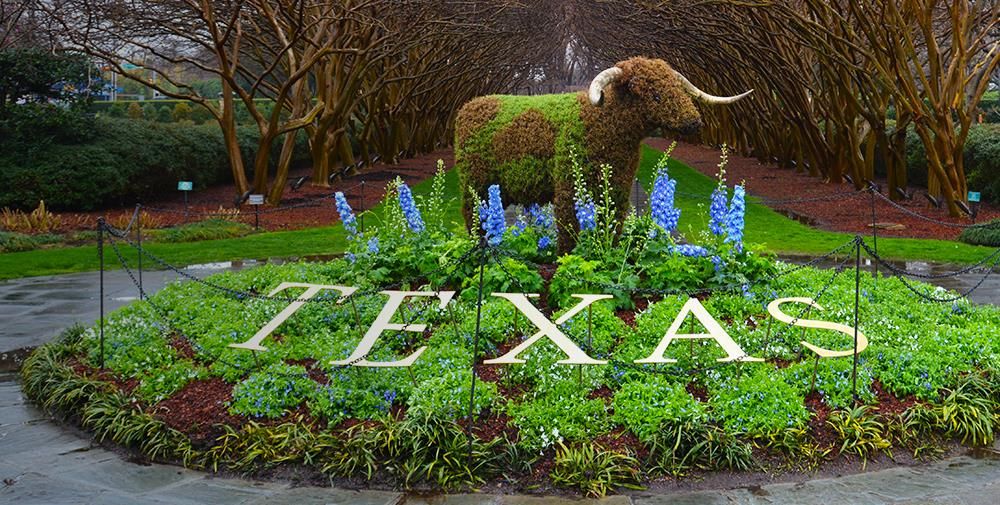 Dallas Attractions Review Best Experts