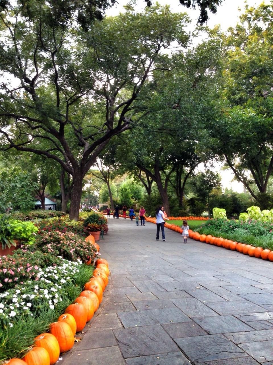 The Dallas Arboretum