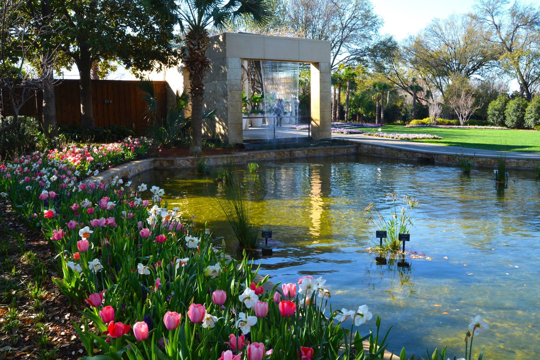 The Dallas Arboretum
