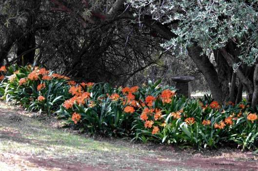 Best Bloemfontein Wildlife And Nature Conservation Images