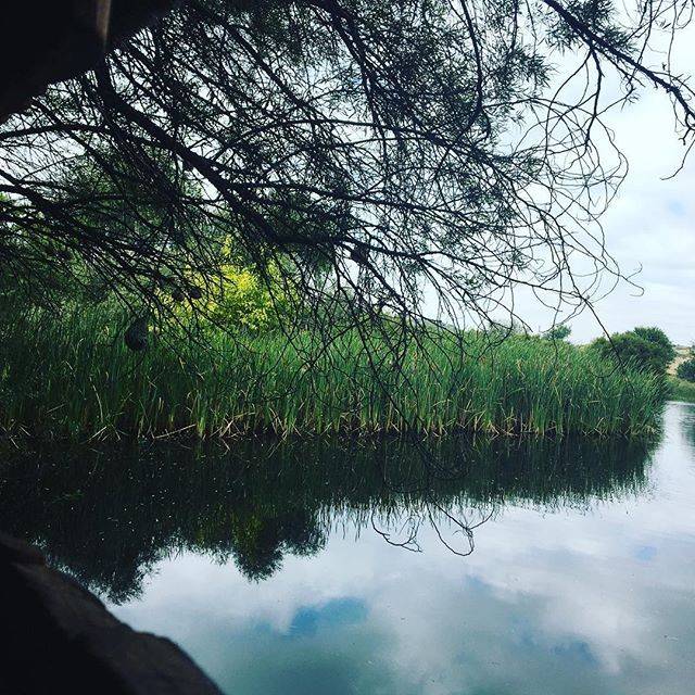 Bloemfontein Botanical Gardens