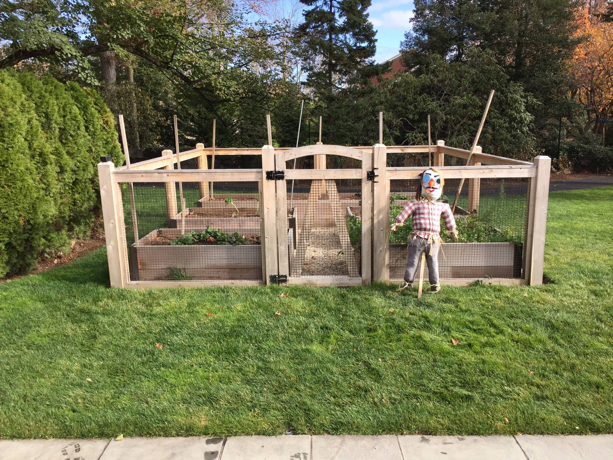 Amazing Cat Room Design Ideas