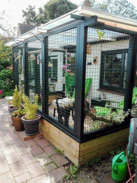 Dogs Outdoor Cat Enclosure
