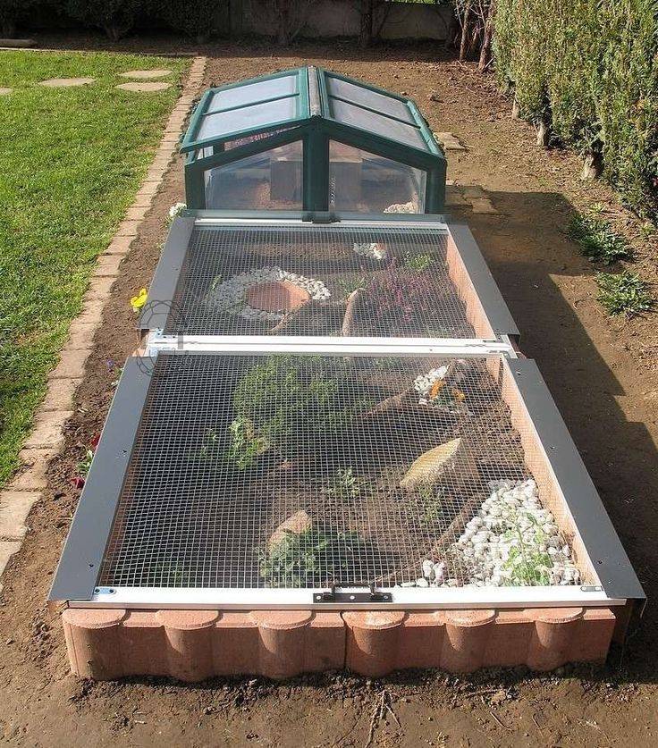 Outdoor Patio Cat Enclosures Enclosure Ideas