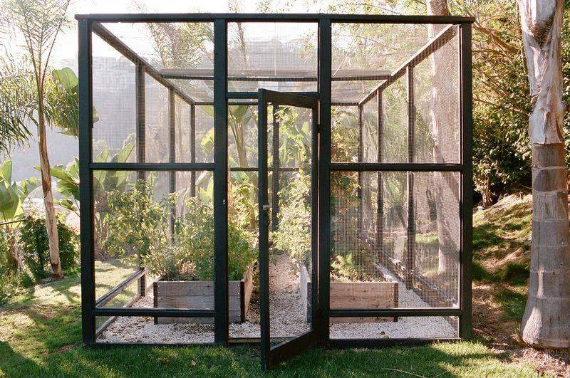 Vegetable Garden Enclosures