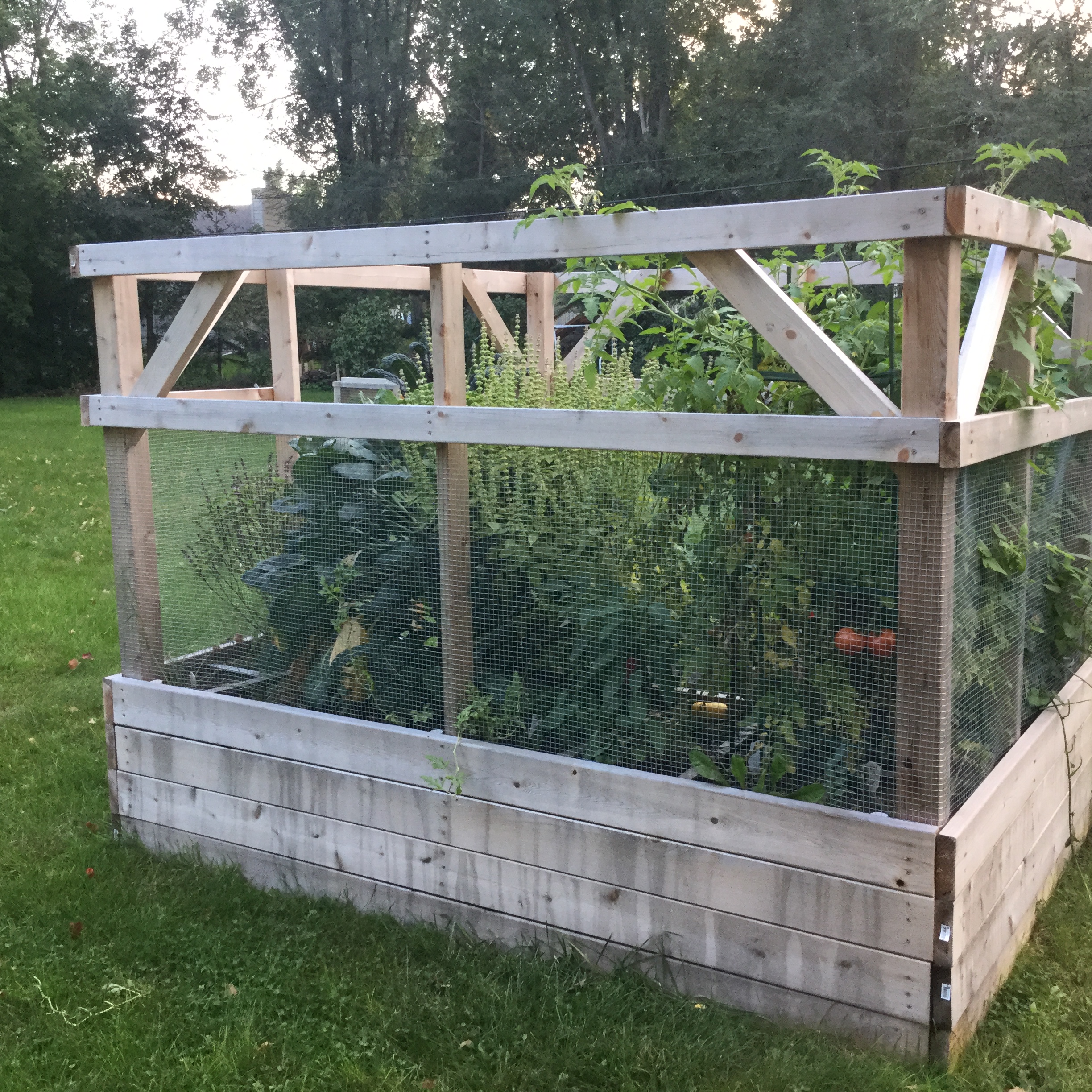 Screened Vegetable Garden