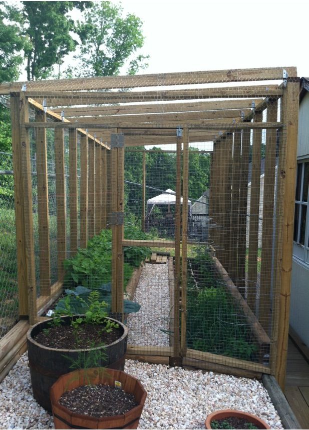 Enclosed Vegetable Garden Structures Diy Projects