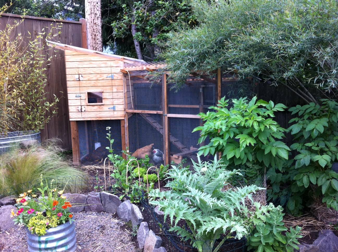 Outstanding Chicken Coop Ideas