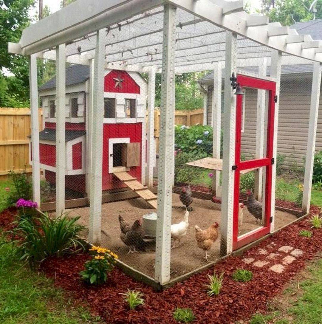 Chicken Coop Run Ideas