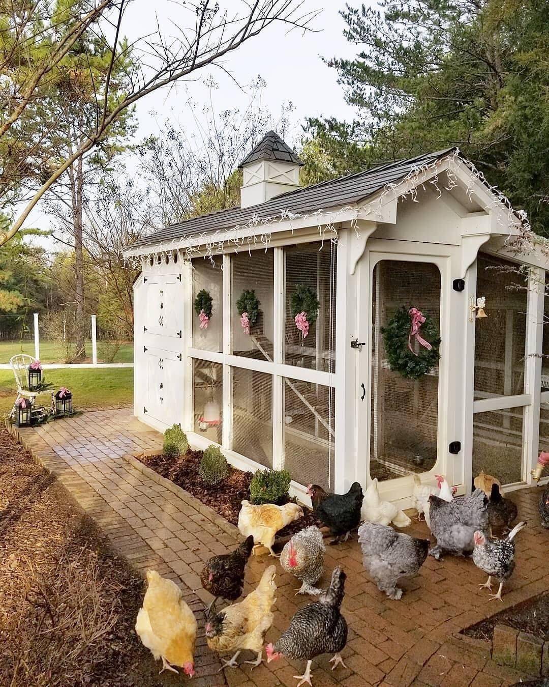 Chicken Coop Gardens