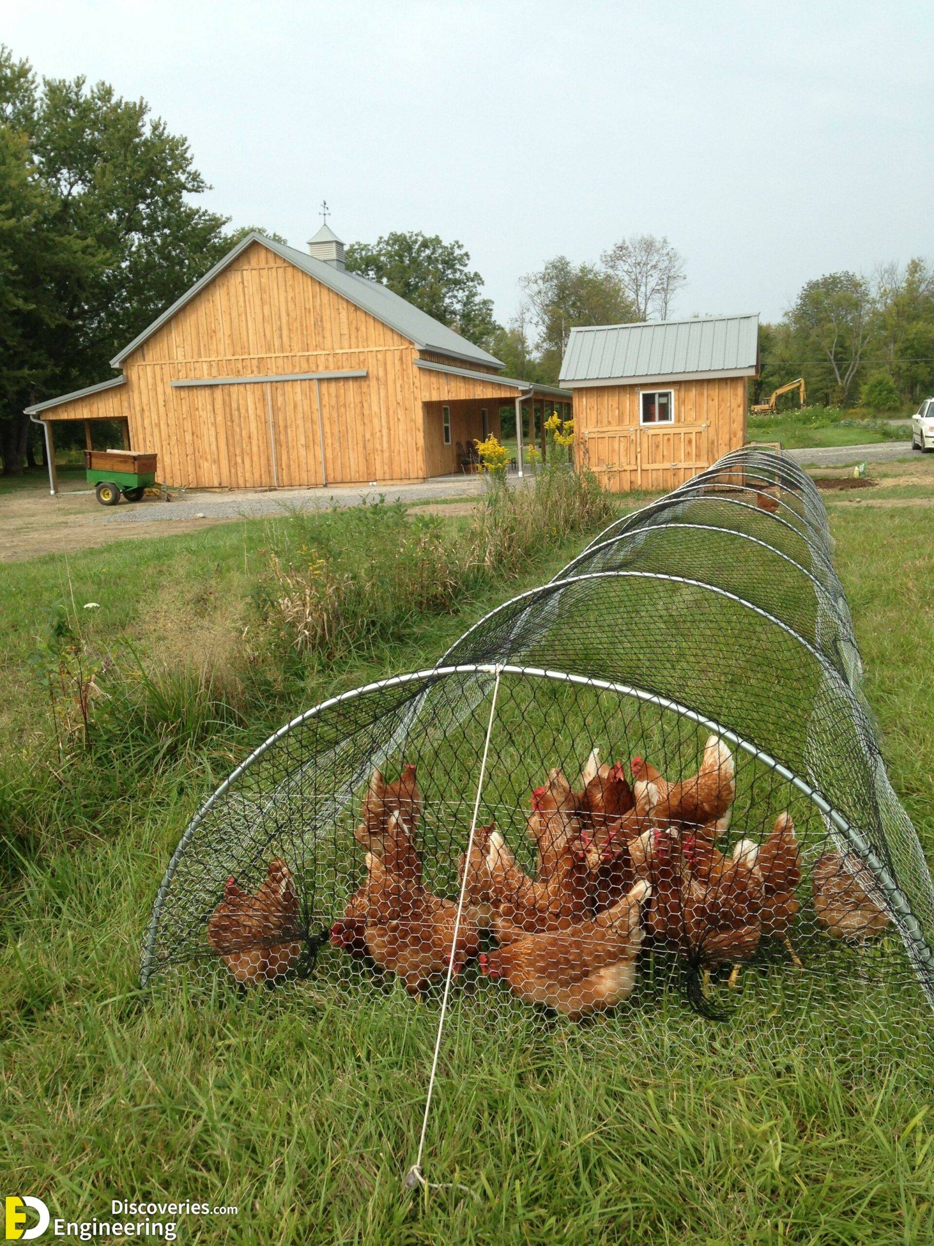 Chicken Coop Gardens