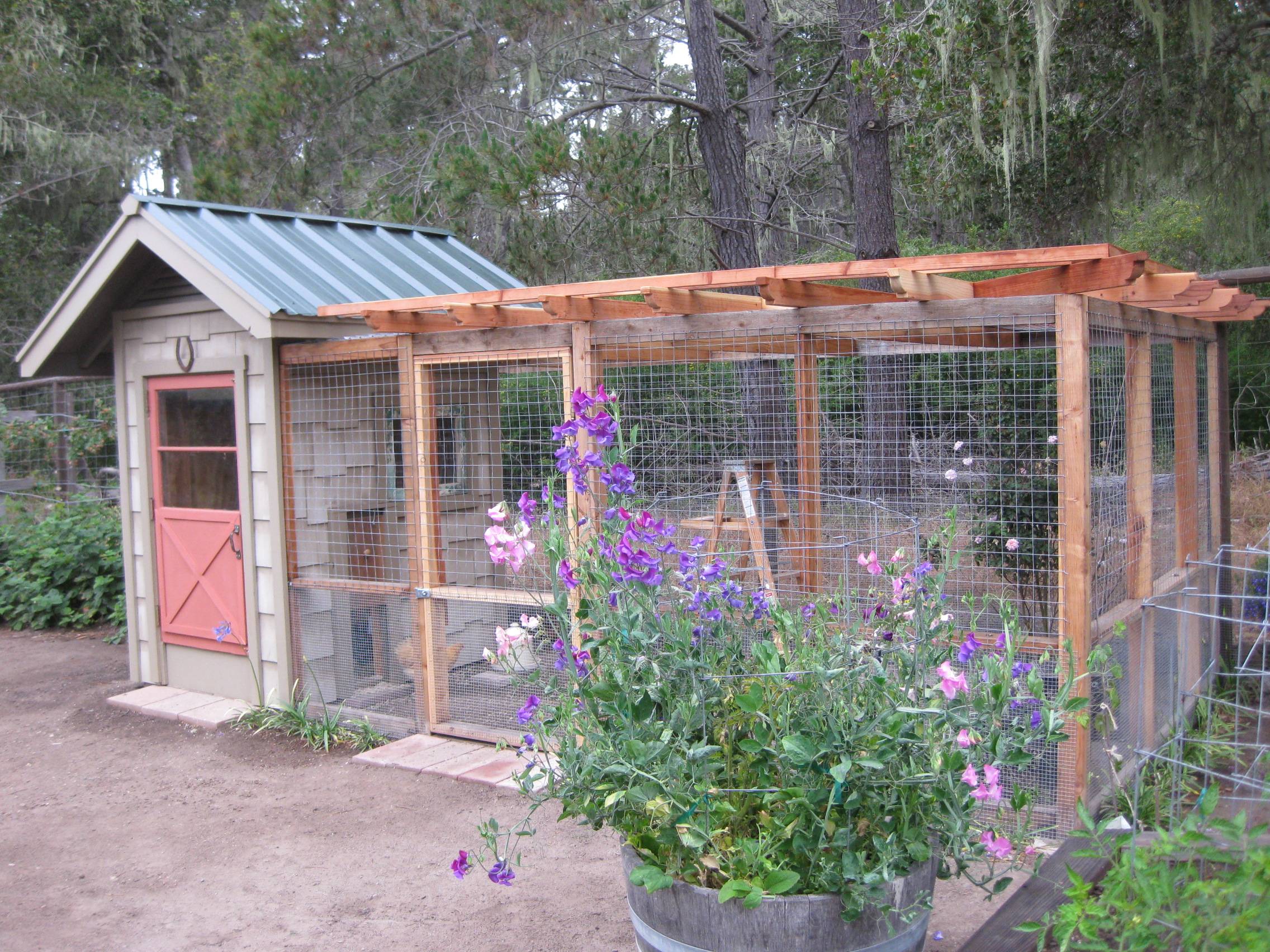 Backyard Chicken Coop Ideas Home Stratosphere